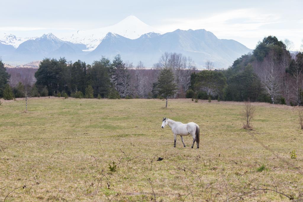 Casa De Campo Buenavista Pucón المظهر الخارجي الصورة