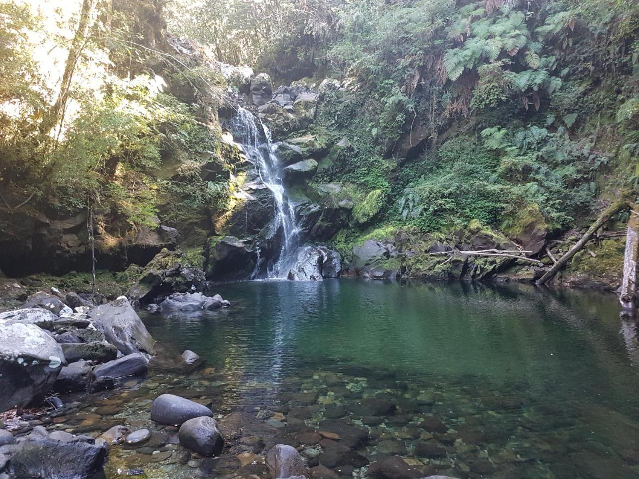 Casa De Campo Buenavista Pucón المظهر الخارجي الصورة