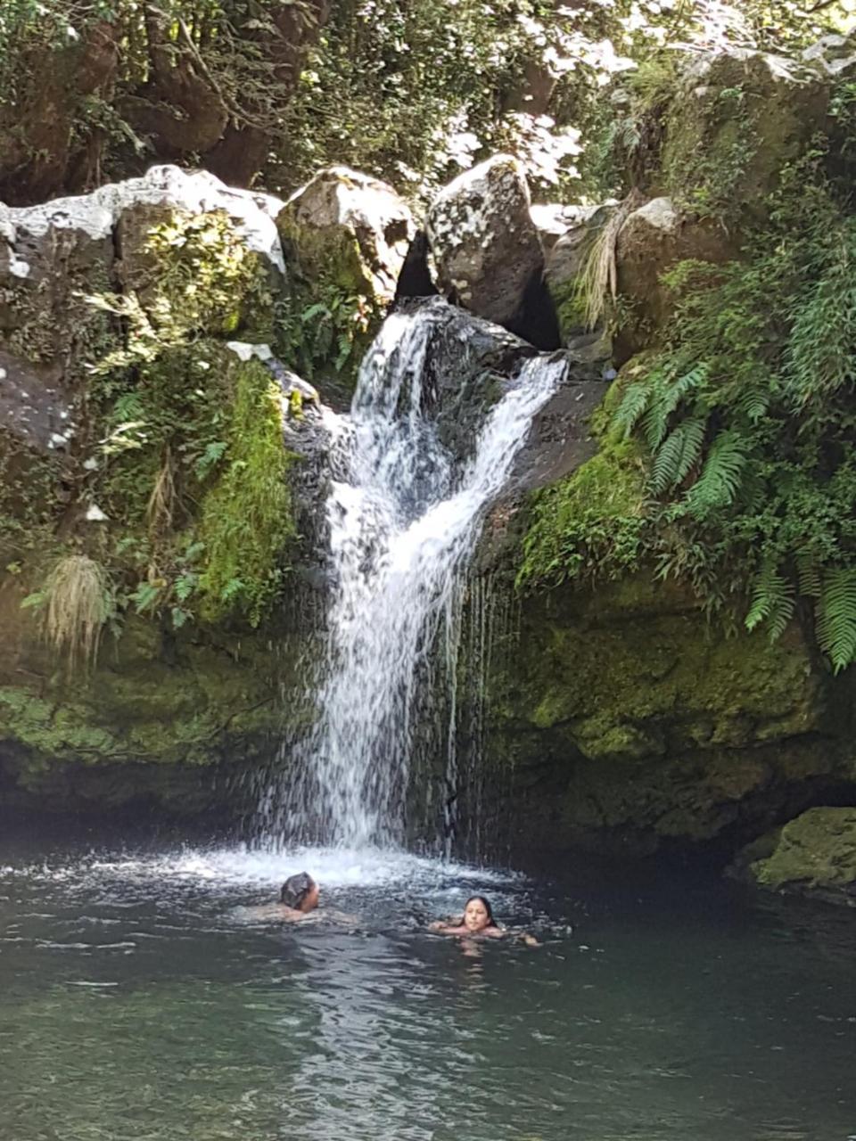 Casa De Campo Buenavista Pucón المظهر الخارجي الصورة